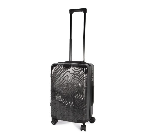 Trolley de cabine com 4 rodas multidireccionais