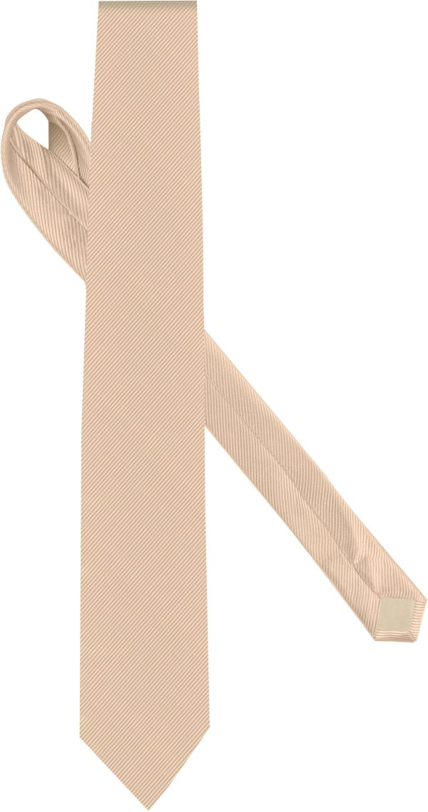 Gravata de seda
