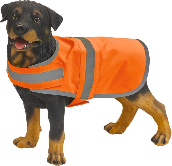 Colete para cão de alta visibilidade