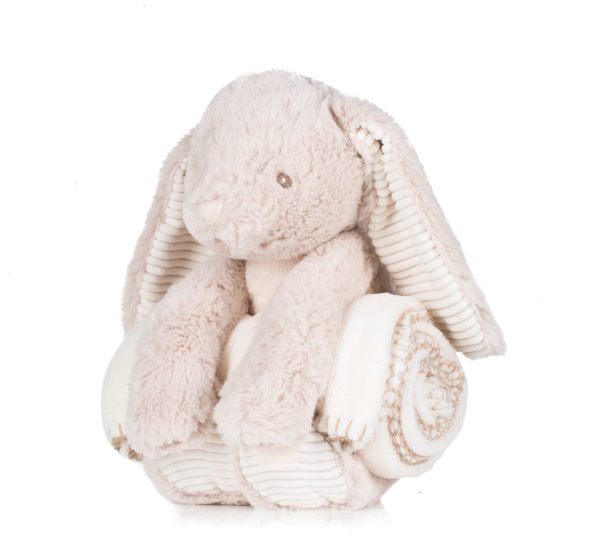 Coelho de peluche e cobertor