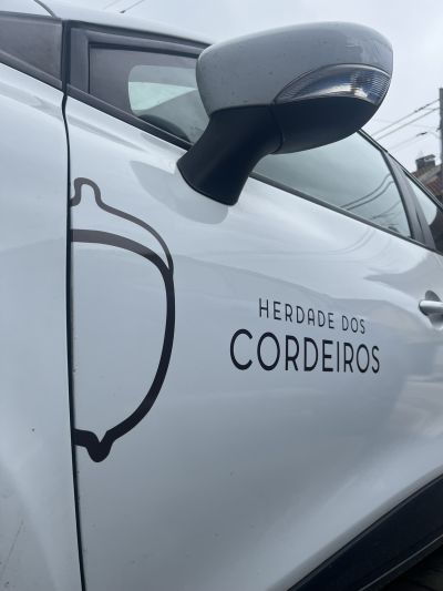 Decoração de Carro